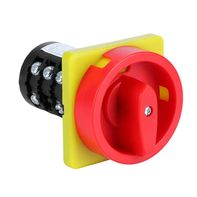 กุญแจ 20A สองตำแหน่งสวิตช์ลูกเบี้ยวแบบรวม