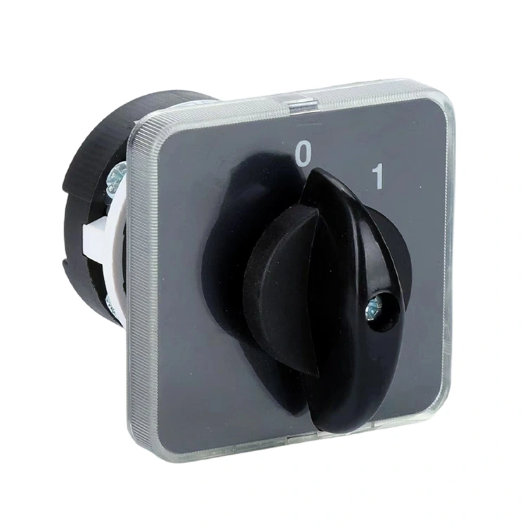 LW31 20A OFF-ON สองตำแหน่งสวิตช์ลูกเบี้ยวรวมกัน